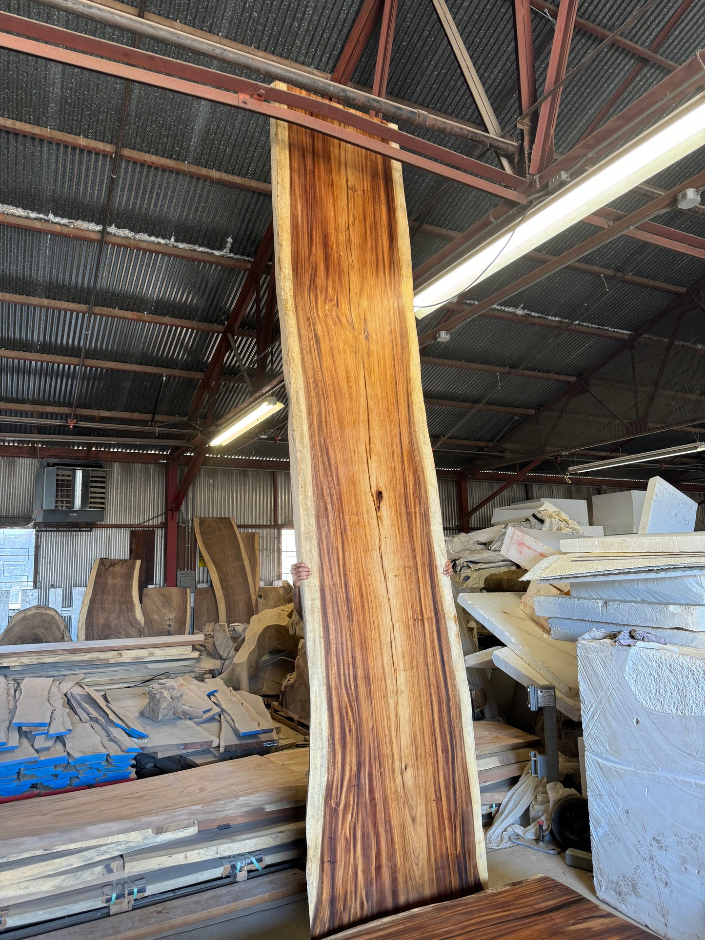 Slab K31333 Exotic Hardwood, Monkey pod Slab, 14ft