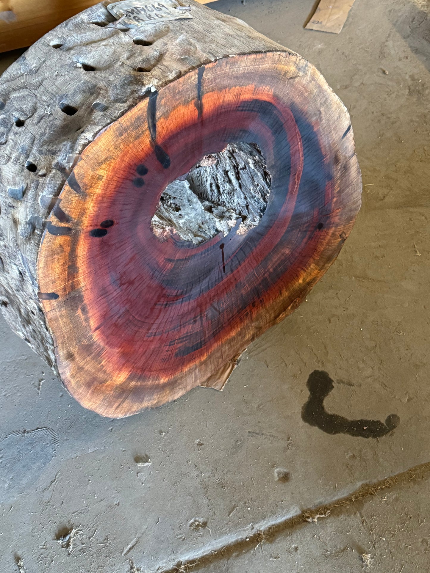 Exotic Tigerwood Stumps