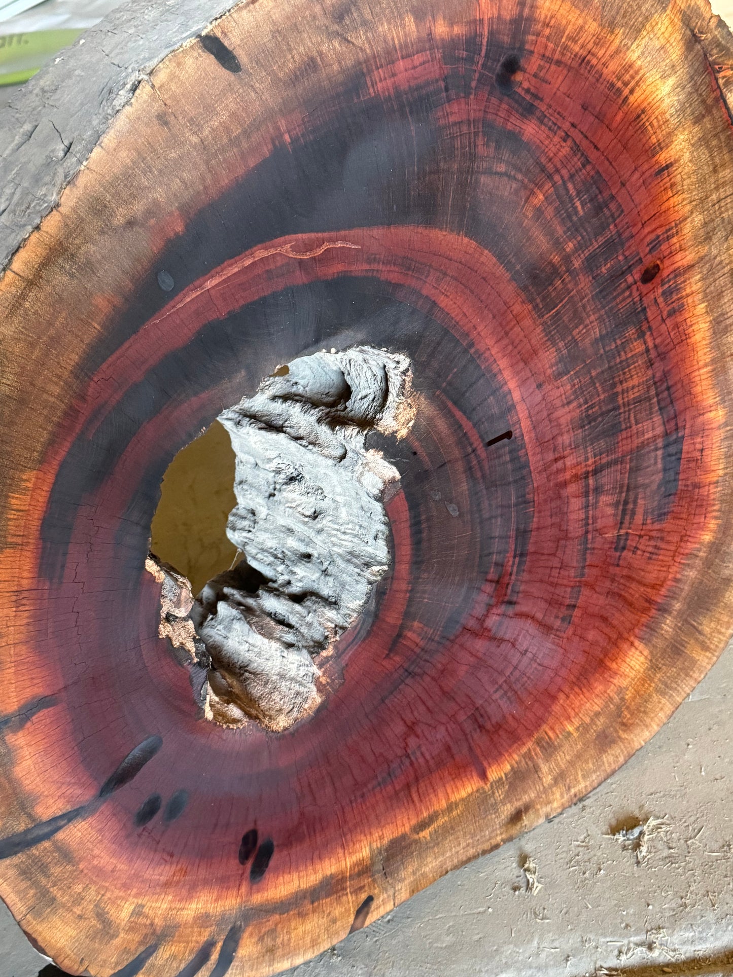 Exotic Tigerwood Stumps