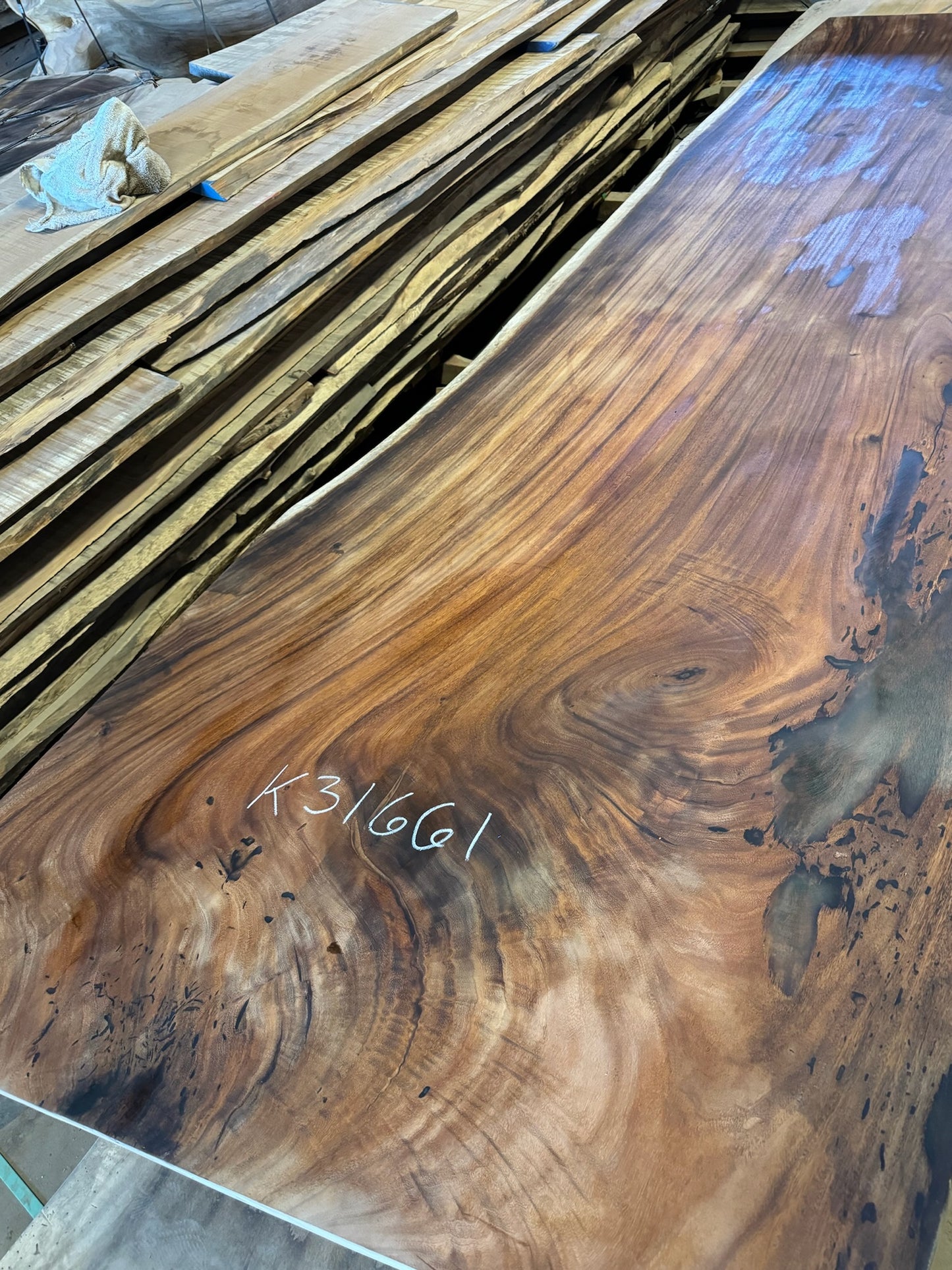 Slab K31661, Tropical Monkey pod, 12ft