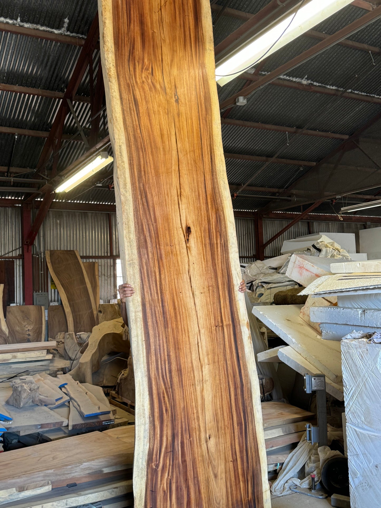 Slab K31333 Exotic Hardwood, Monkey pod Slab, 14ft