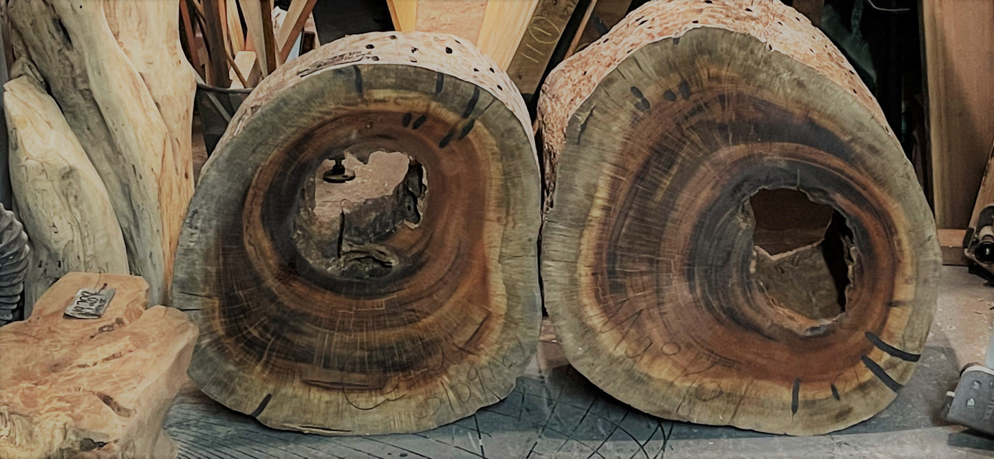 Exotic Tigerwood Stumps